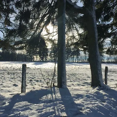 Ardennen Punthuisje Durbuy