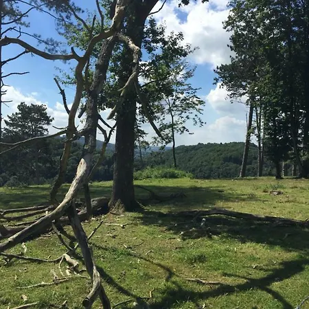 Vakantiehuis Ardennen Punthuisje